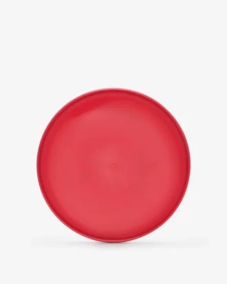 Roots Flying Disc