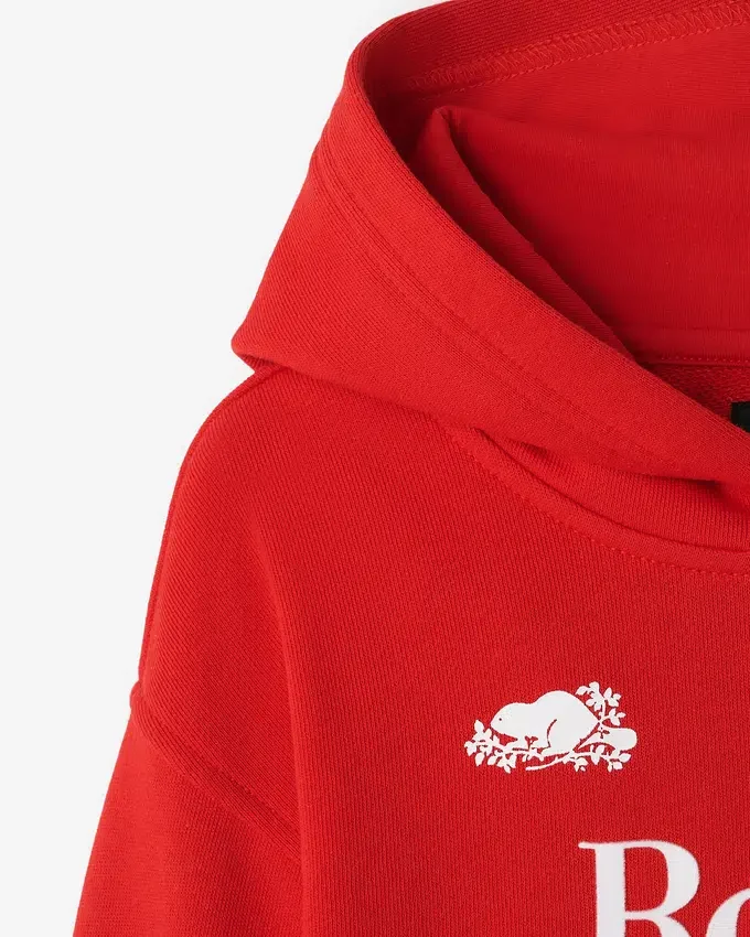 Toddler Northern Athletics Hoodie Toddler Northern Athletics Hoodie