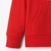 Toddler Northern Athletics Hoodie Toddler Northern Athletics Hoodie